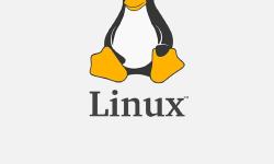 Featured image of post linux